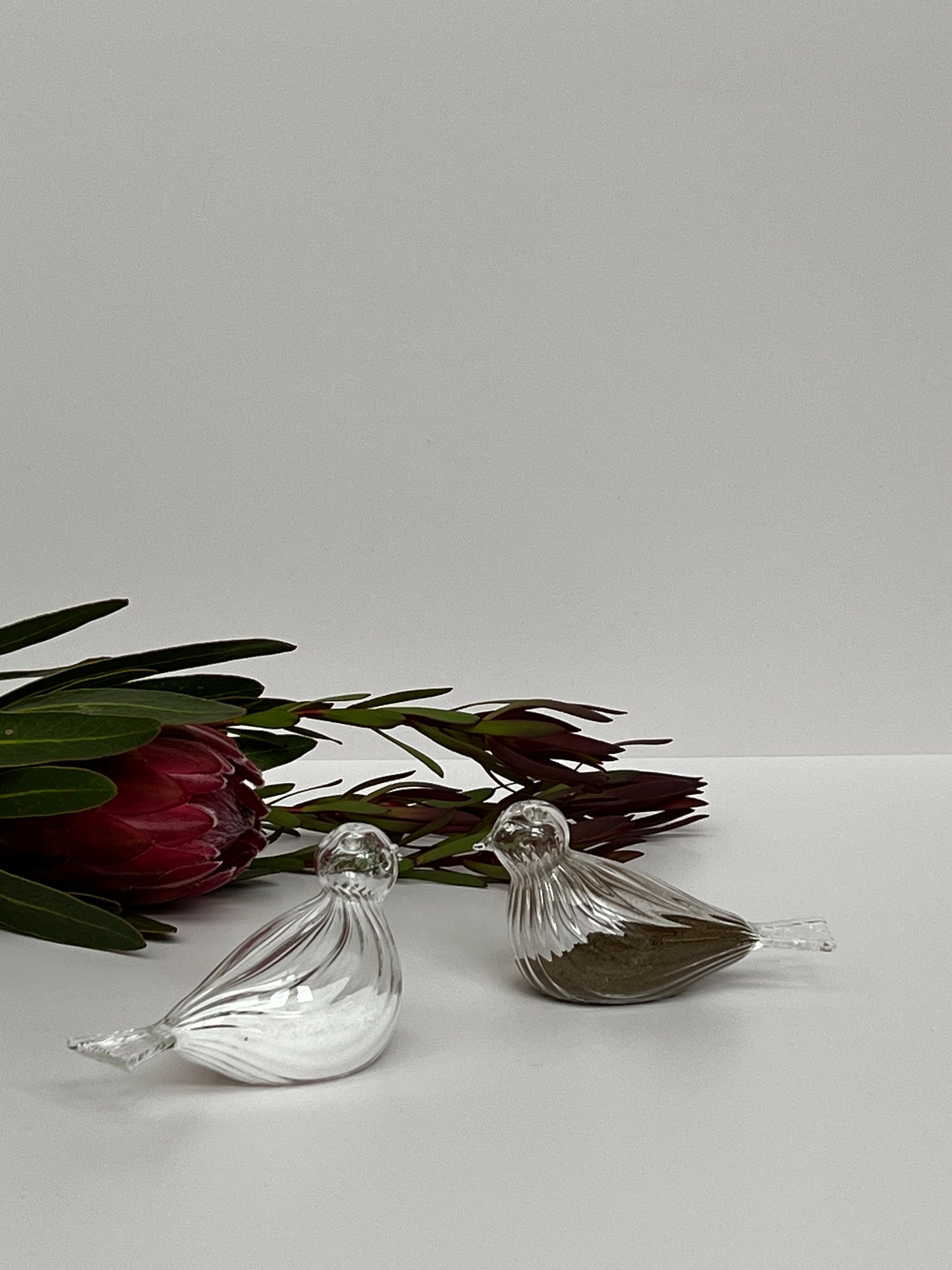 KANZ LIFESTYLE - Salt & Pepper Bird shakers