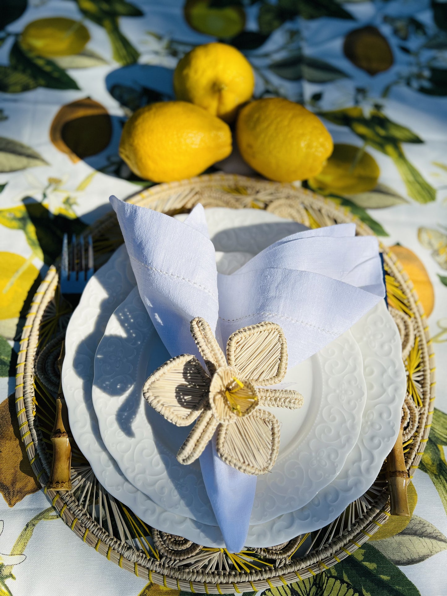 IRACA DI COLOMBIA - Caracol placemat - Neutral & yellow (set of 2)