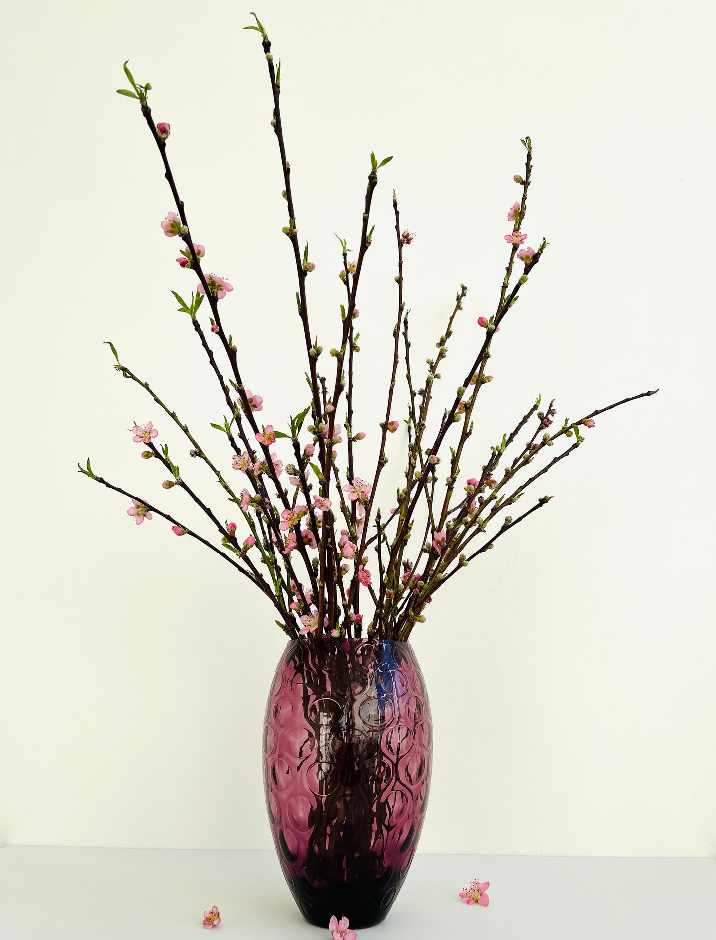 ANNA VON LIPA - Klimchi Kugel vase Tall - Violet